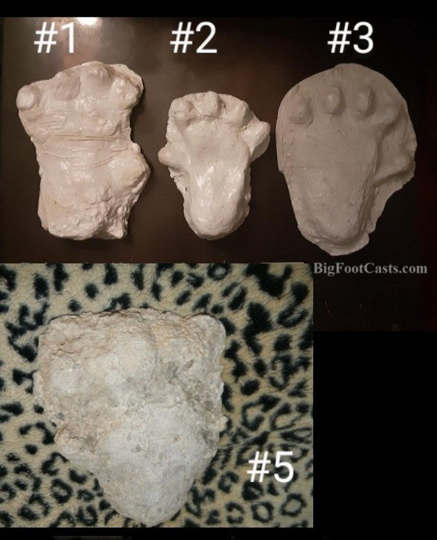 2013(?) Orang Pendek #4 Footprint cast replica #4