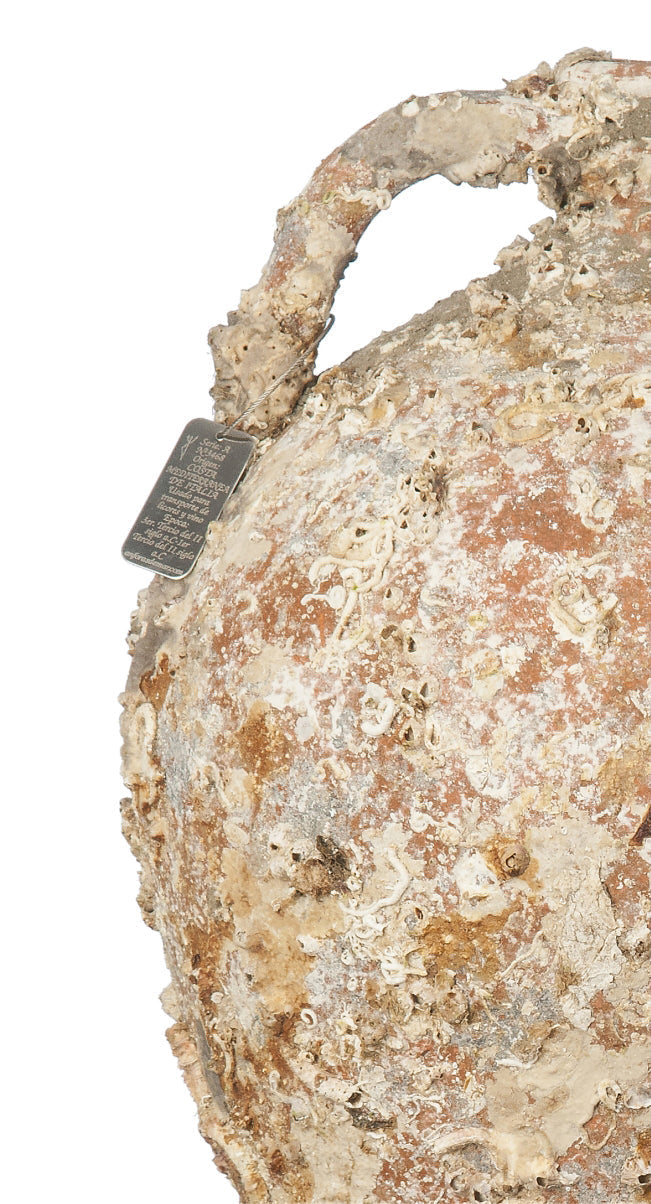 'Almagro' Ancient Sea Amphora