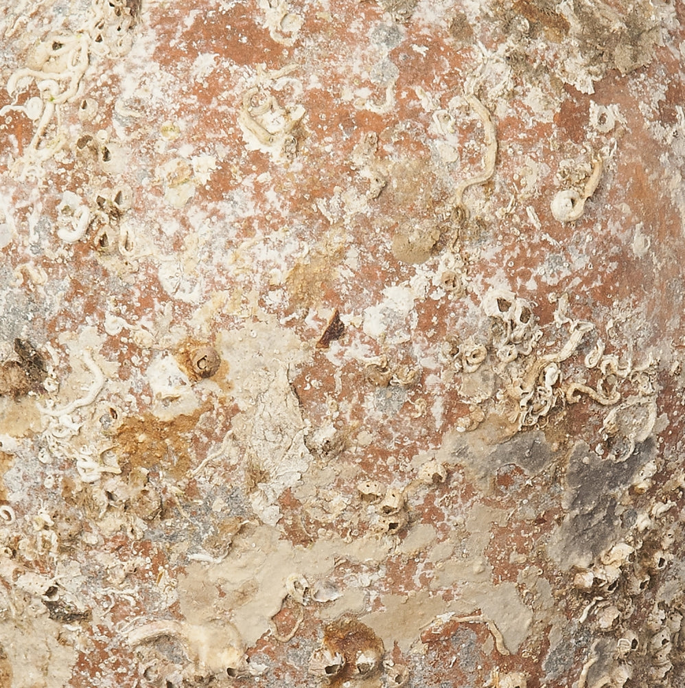 'Almagro' Ancient Sea Amphora