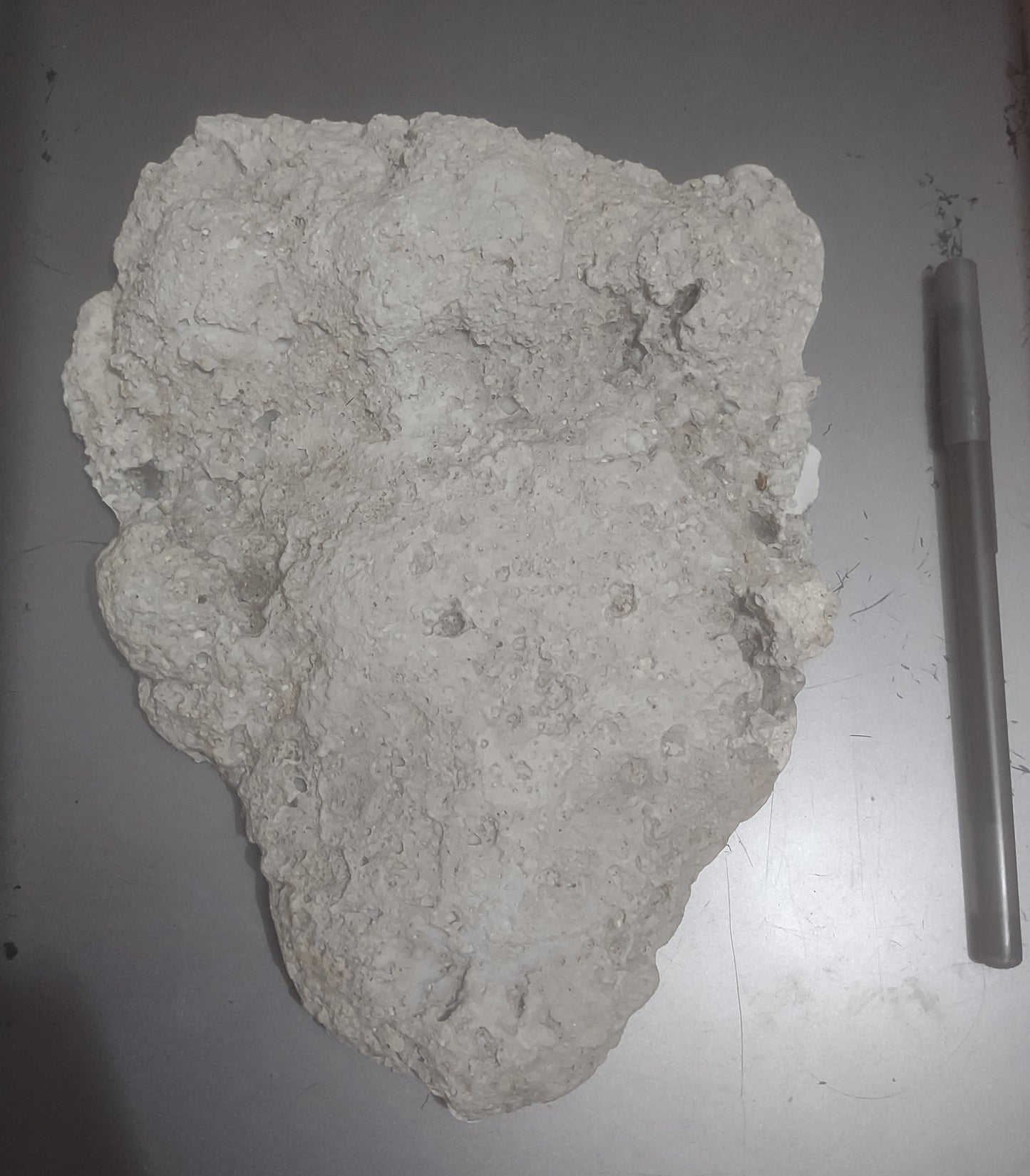 2013(?) Orang Pendek #4 Footprint cast replica #4