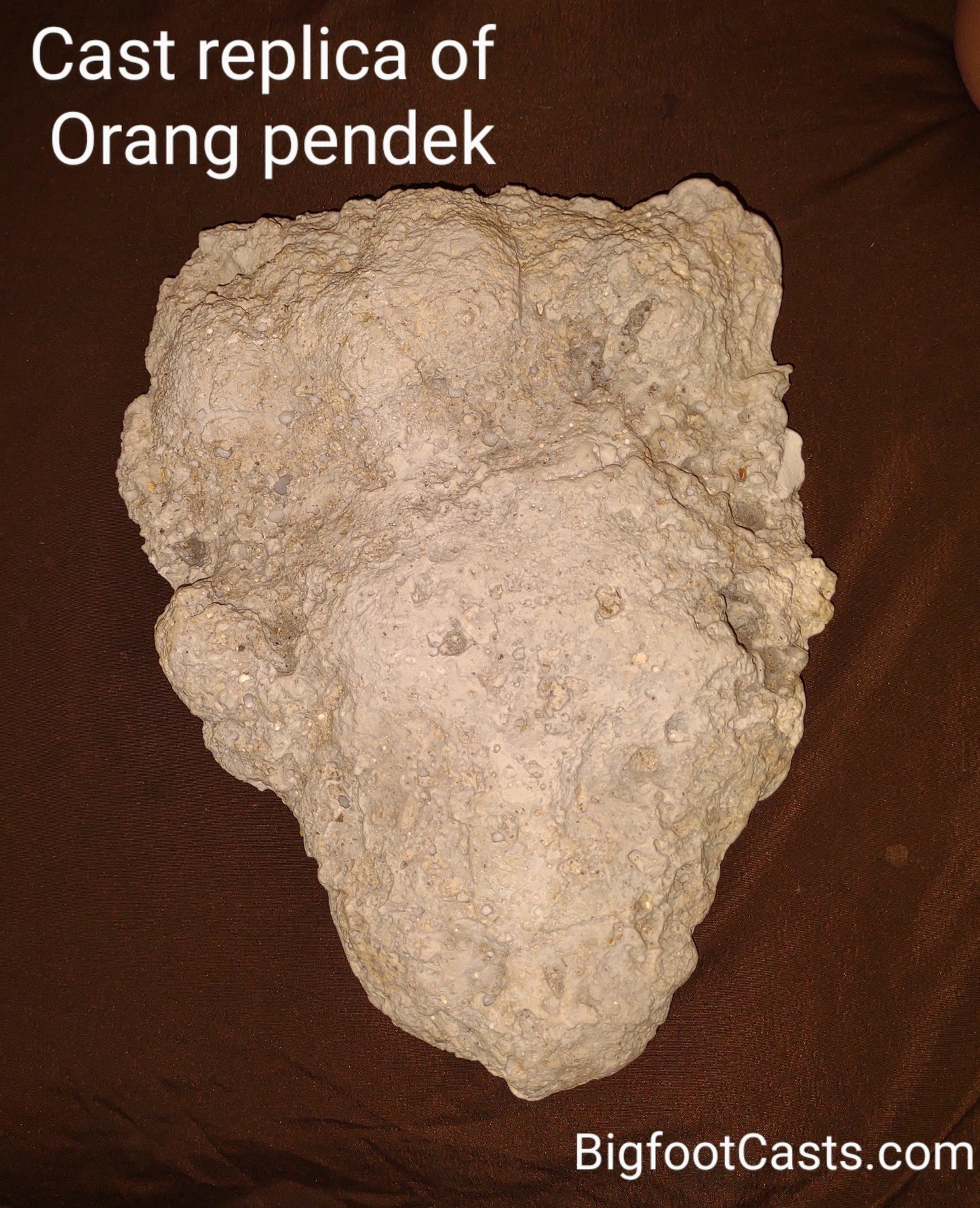 2013(?) Orang Pendek #4 Footprint cast replica #4