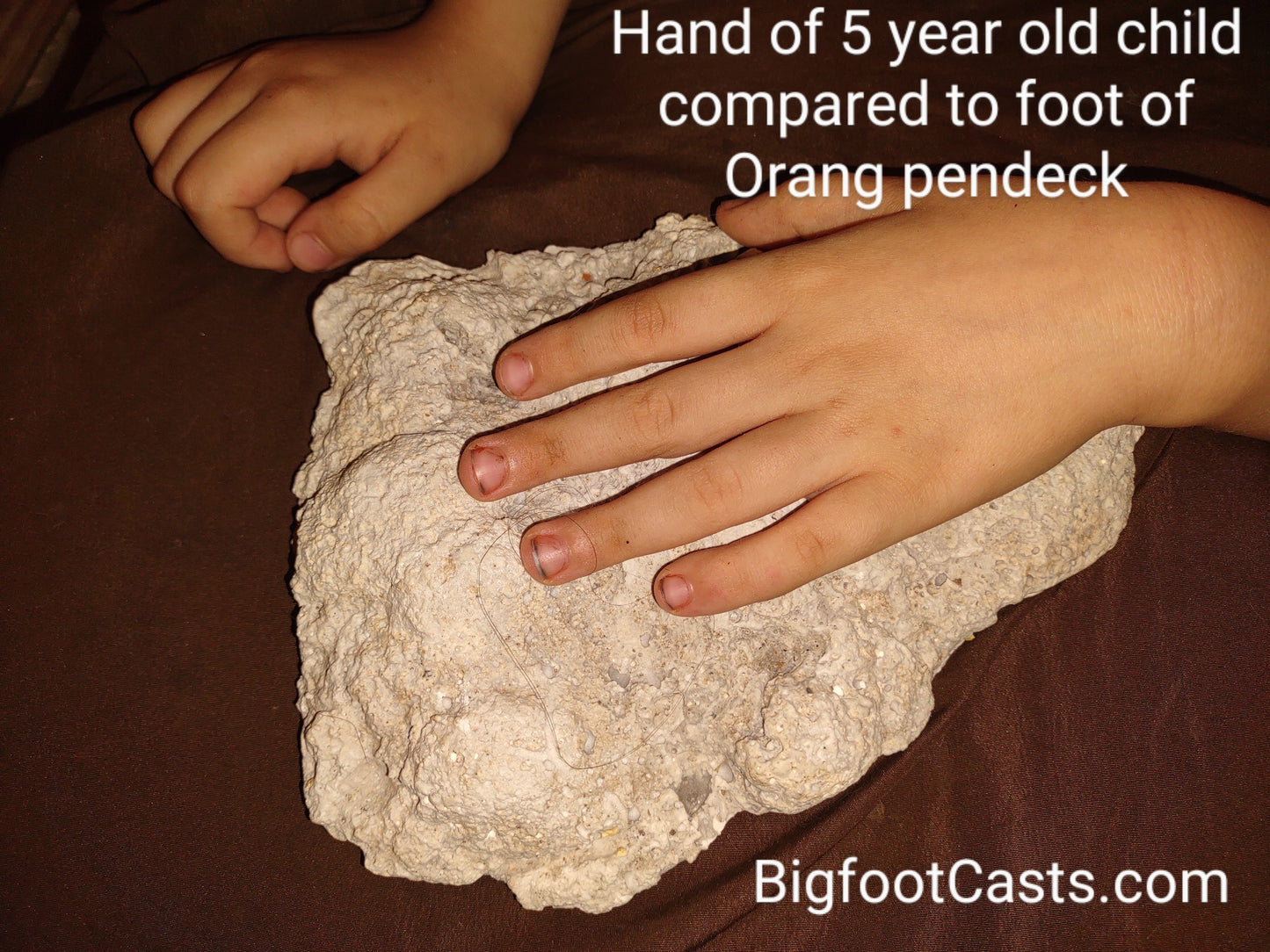 2013(?) Orang Pendek #4 Footprint cast replica #4